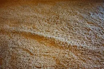 Carpet bubbling